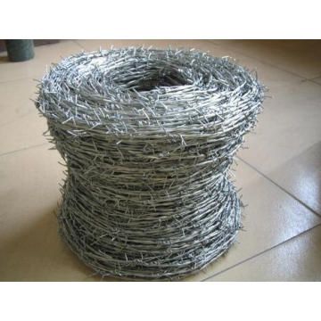 Proveedor de China Galvanized Coated Razor Wire